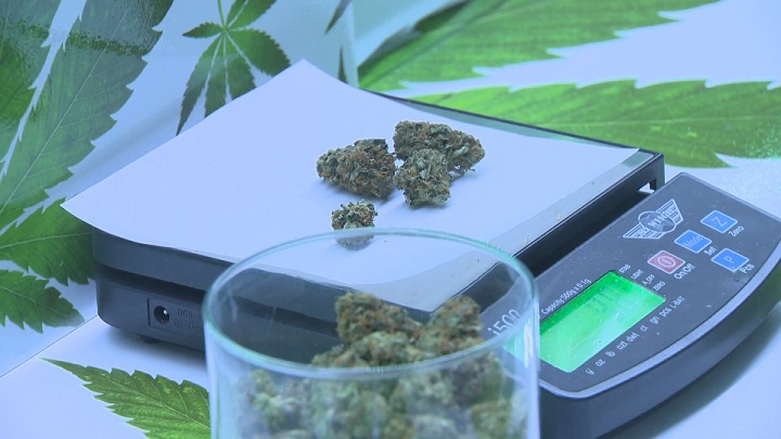 The Okanagan Cannabis Conference in Kelowna touched on many topics, including pot for pets.