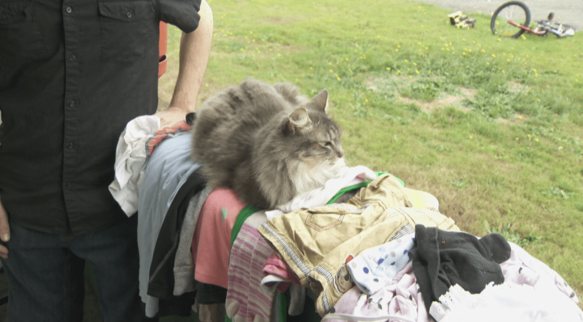 Bella poses with some of her trophies.