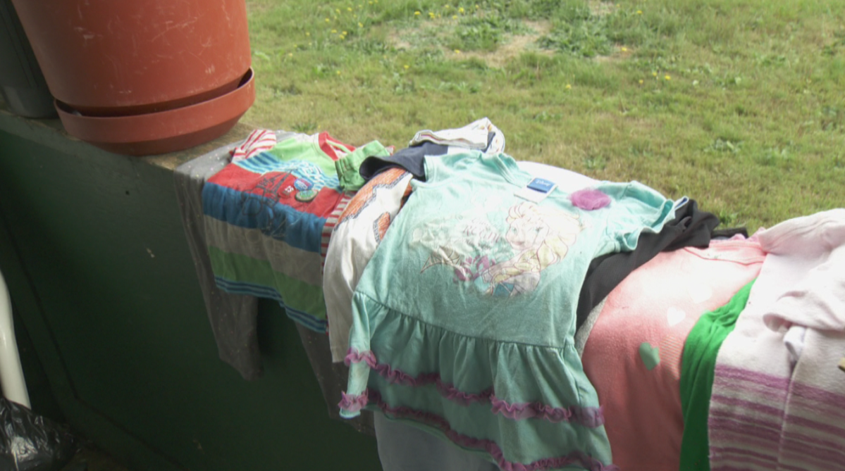 A selection of some of Bella’s ill-gotten gains.