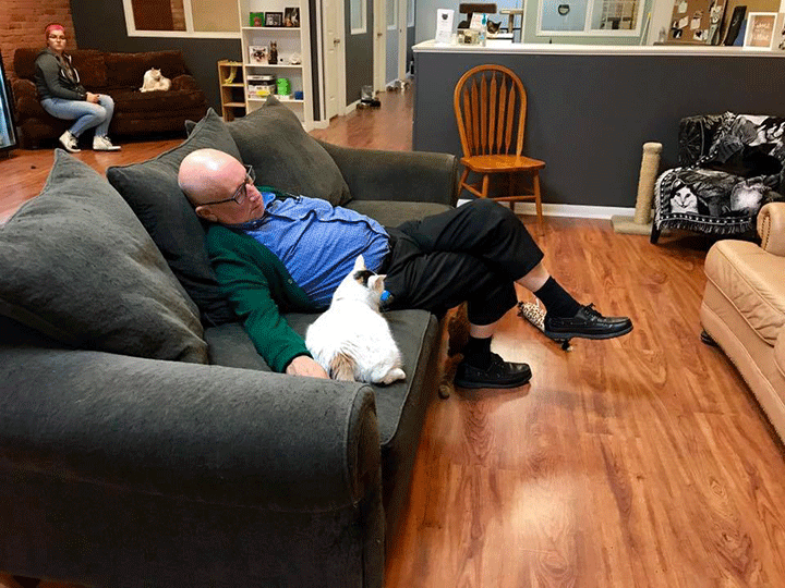 Download Man Nicknamed Cat Grandpa Shows Up At Animal Shelter Every Day To Brush Nap With Cats National Globalnews Ca