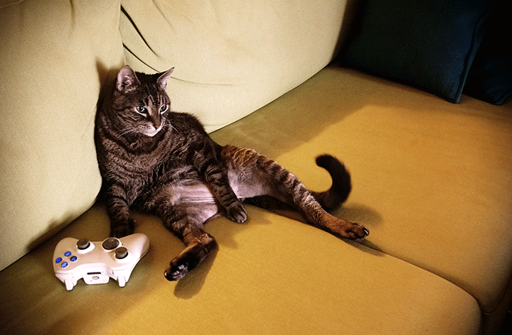 A cat pictured on a couch with a video game controller next to the feline. 