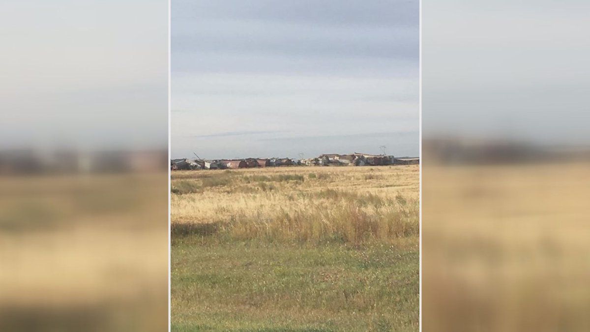 Forty hopper cars on a westbound CN Rail grain train derailed Wednesday morning just west of Landis, Sask.