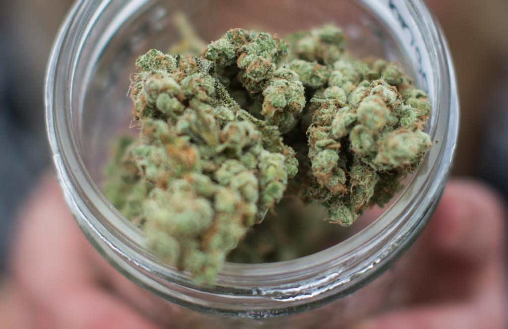 Pot experts are concerned about supply and demand with legalization around the corner.