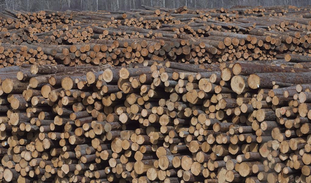 Softwood lumber is pictured at Tolko Industries in Heffley Creek, B.C., April, 1, 2018.