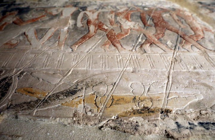 Two crocodiles are shown at the bottom of the frame in this image from the tomb of Mehu near Egypt’s Saqqara necropolis, in Giza.