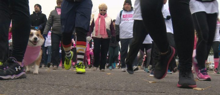 Hundreds turned out to Southcentre Mall in Calgary on Sunday for the Canadian Cancer Society CIBC Run for the Cure.
