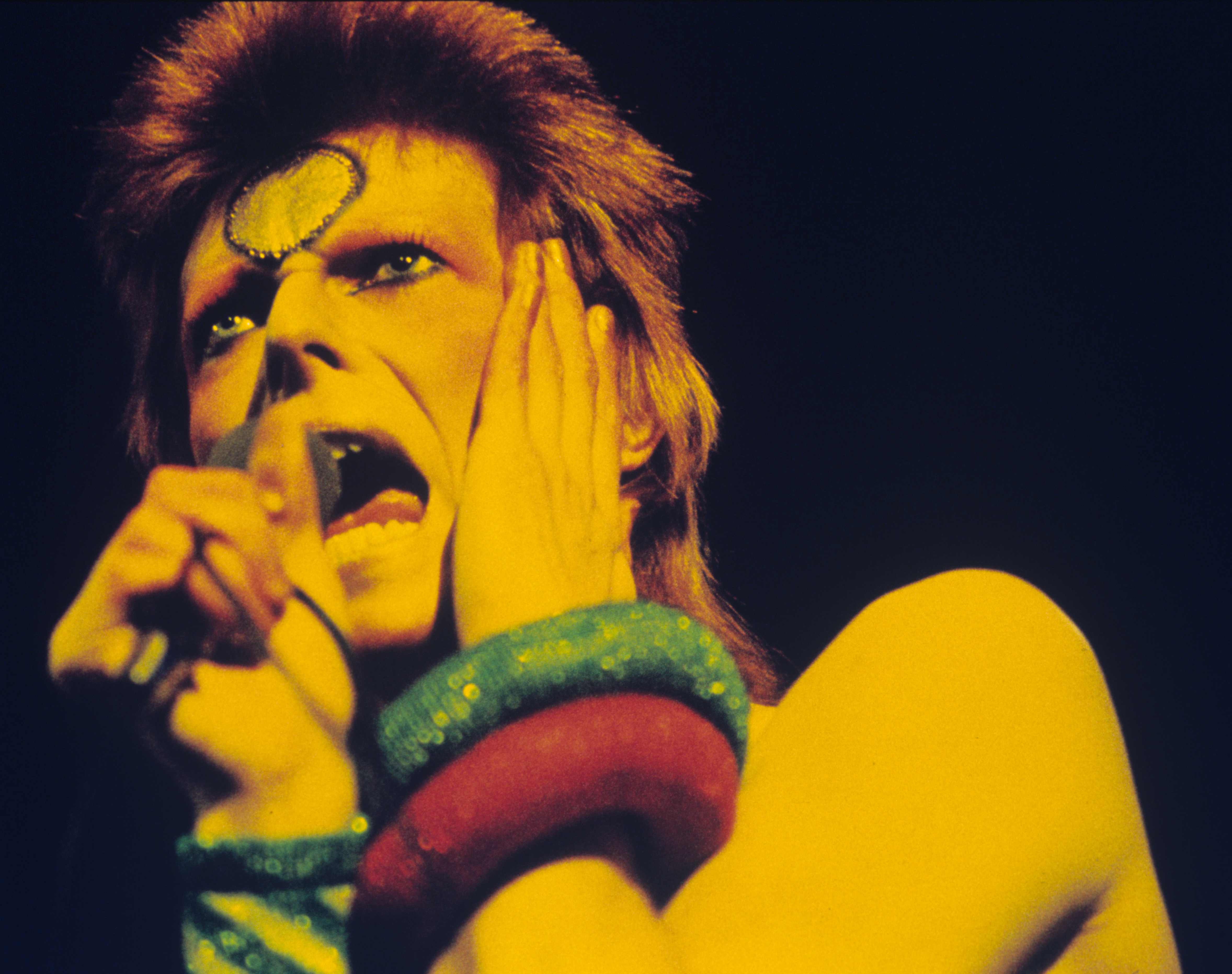 Ongoing History Daily: The time the cops crashed a David Bowie after-party