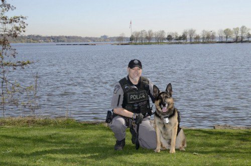 Hamilton police say a K9 Officer helped rescue a dog who was left inside a hot car.