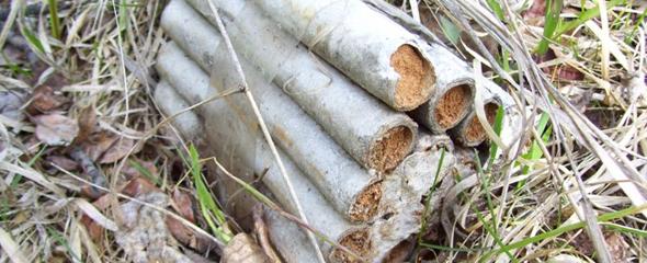 File photo of deteriorated dynamite.