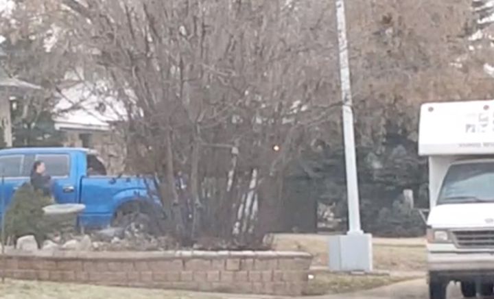 A dog is carried away from an Edmonton home by an animal protection officer in 2016.