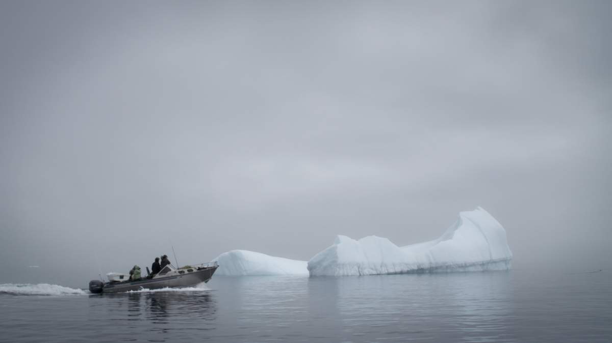 Animiki See Digital Productions, Nüman Films, and Indios Productions.