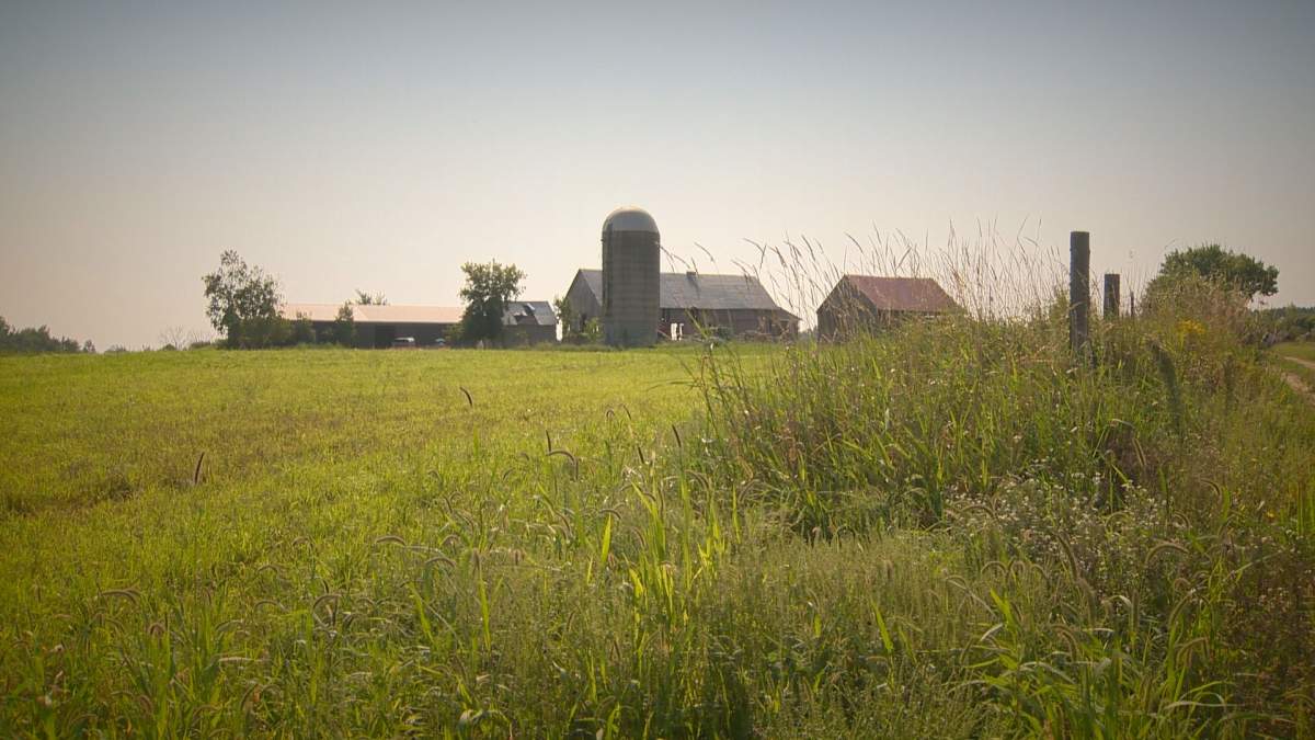 Out in Carlsbad Springs, a heritage farm is transforming into a social enterprise designed to help marginalized teenagers and young adults gain the skills and confidence necessary to land and keep a job.
