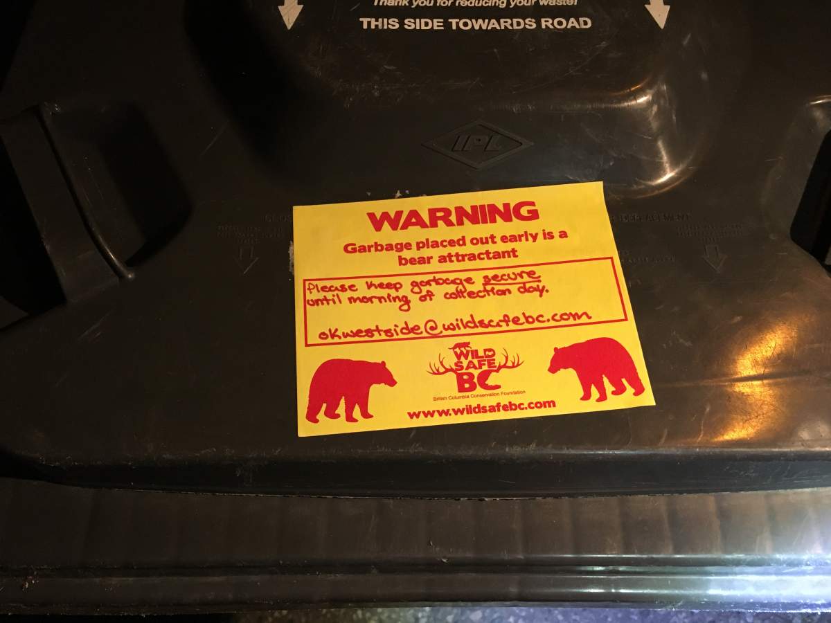 Okanagan residents urged not to leave garbage out overnight to avoid bear conflicts - image
