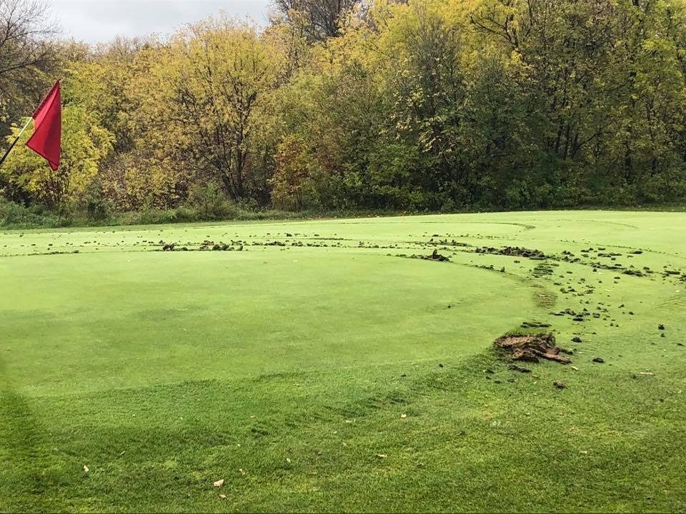 LaVerendrye Golf Course asking for help finding criminals who destroyed their golf green.