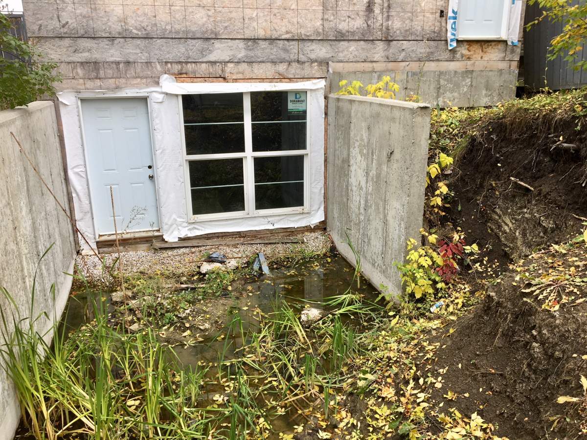 A pond along with cattails have appeared in a pit in front of the house.