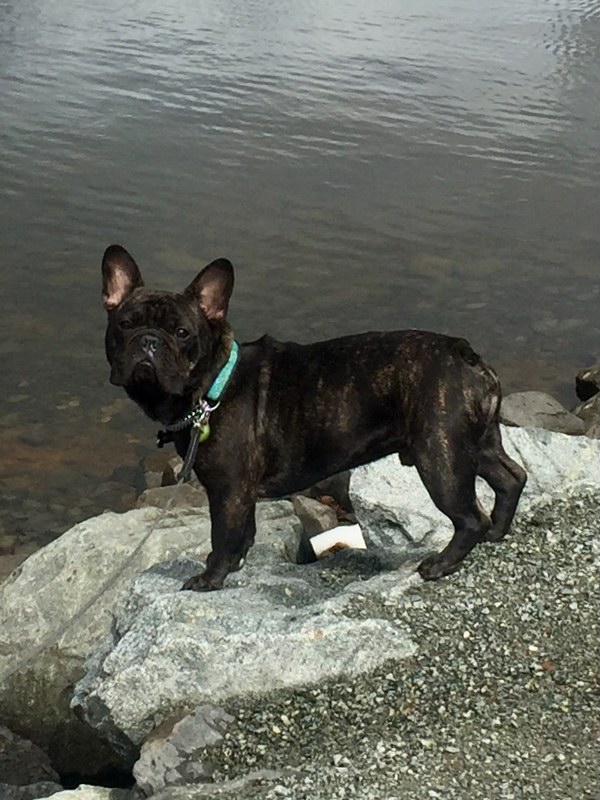 Alkerton said he’s sharing Oscar’s story in the hopes of preventing it from happening to anyone else.