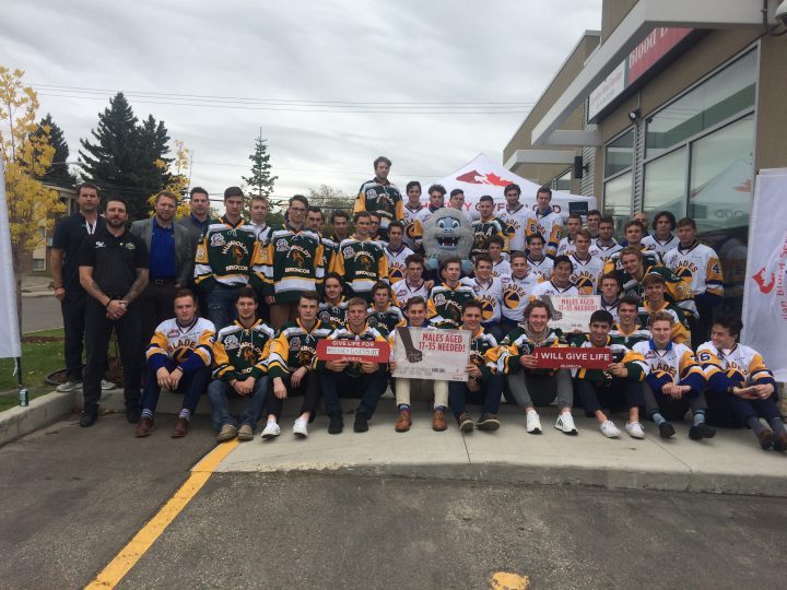 Humboldt Broncos And Saskatoon Blades Raise Awareness For Blood ...