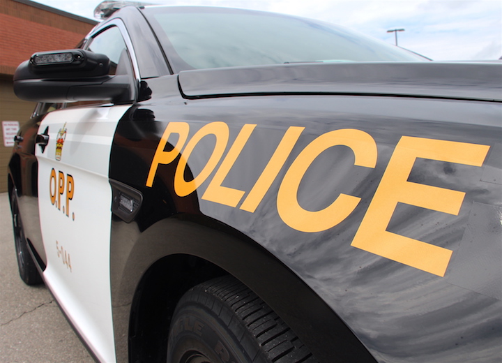OPP officers have arrested a man after he allegedly engaged in a fist fight with another man on Highway 417.