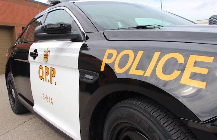 An OPP cruiser is seen in this file photo.