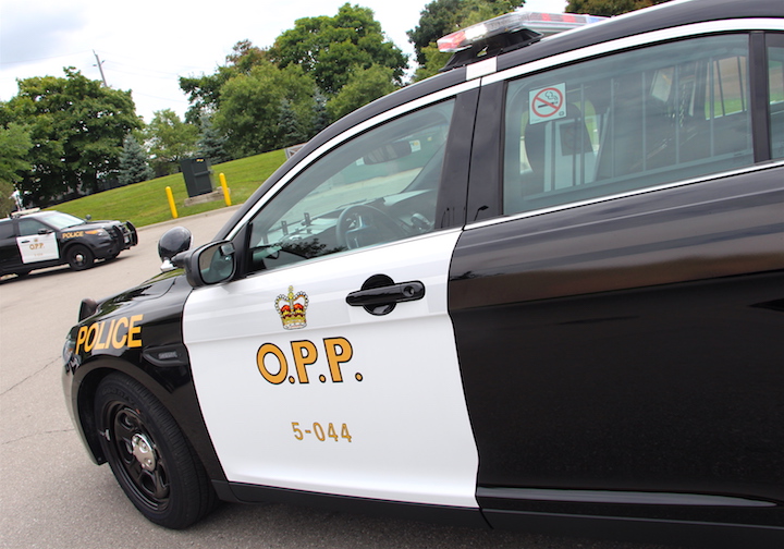 Prince Edward County OPP have charged a Lindsay man after a pedestrian was struck by a vehicle on Monday night in Picton.