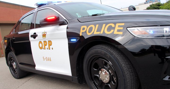 Large ‘brawl’ involving parents draws police to Simcoe, Ontario hockey arena