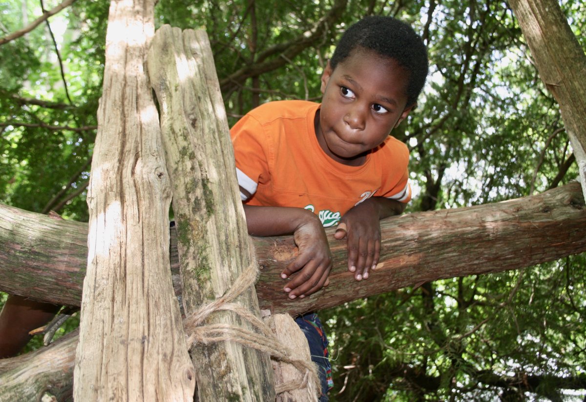 Small Ontario town plans to raise a barn and a new generation of eco-friendly children - image