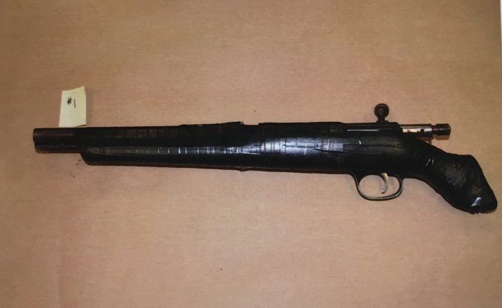 ‘I was the one who shot him’: gang member testifies fatal shooting was ‘accident’ - image