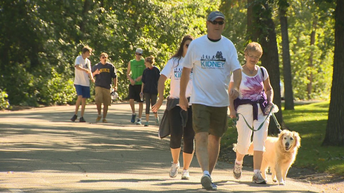 Hamilton's Kidney walk goes Sept. 22 at Confederation Park.