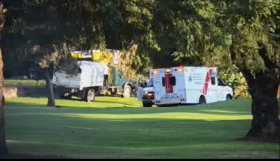 Falling tree kills man on Maple Ridge golf course - image