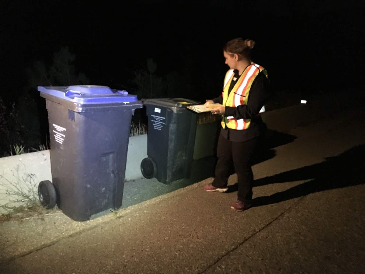 Okanagan residents urged not to leave garbage out overnight to avoid bear conflicts - image