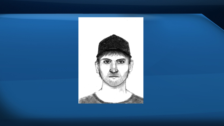 Moose Jaw police have released a sketch of a potential sex offender in the area.