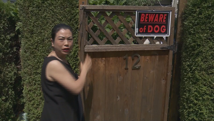 Emily Yu insists the 15-bed hostel she's running from her North Vancouver townhouse is perfectly legal. 