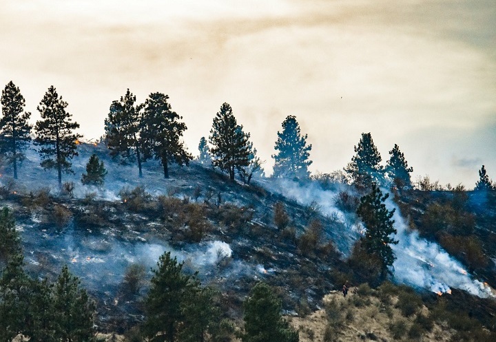 While the total number of fires so this year in the Kamloops Fire Centre may be slightly up from the region’s 10-year average, the number of burned hectares (68) is down from the 10-year average (344).