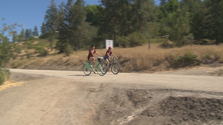 Dog owners could be fined, upwards of $2,000, if their pets are found to be off-leash while on the Okanagan Rail Trail.