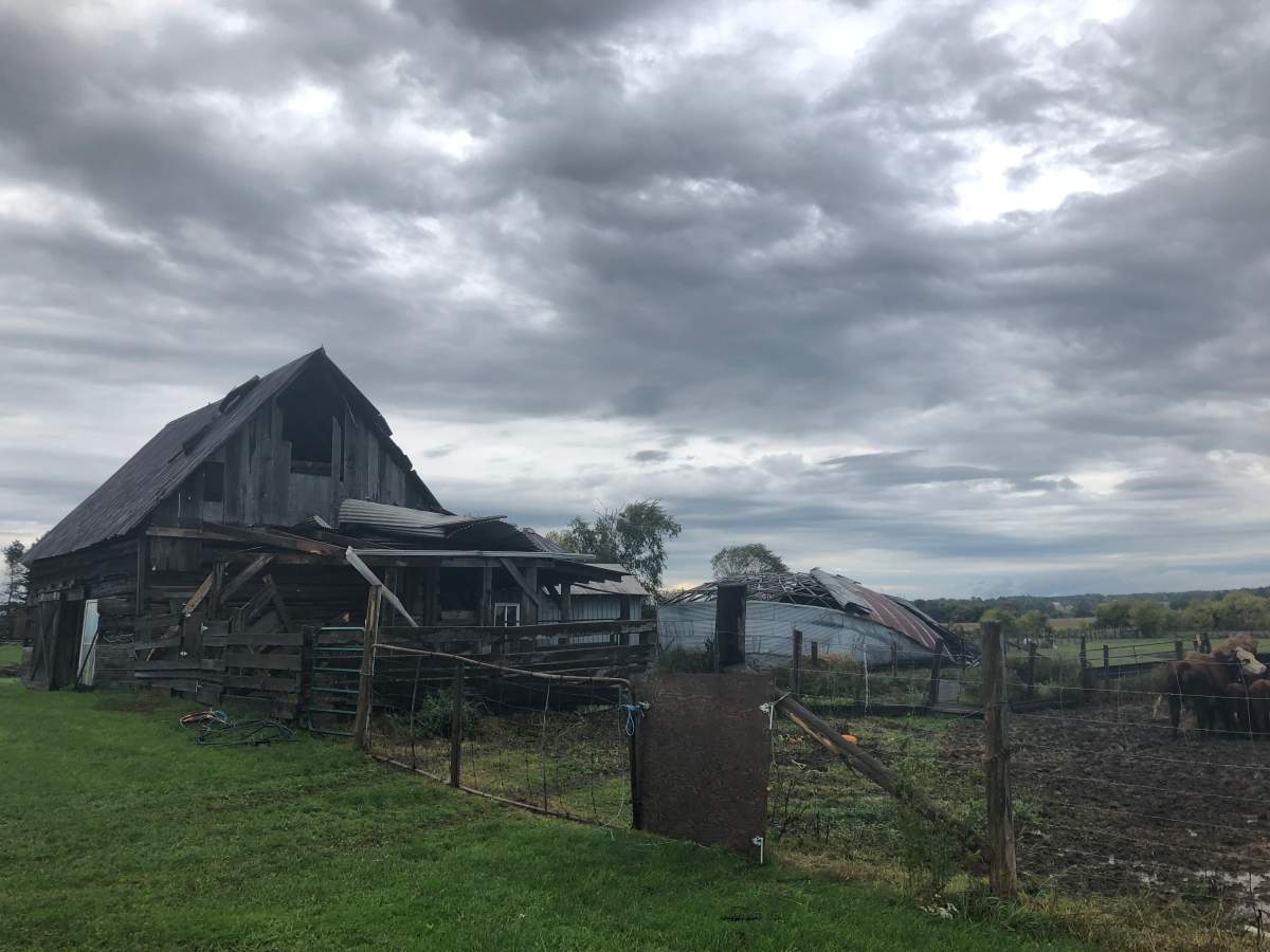 The destroyed pig barn means Katrina Anderson can’t raise pigs for a while. This will affect the farm’s income, said Anderson, who owns Kinburn Farms.