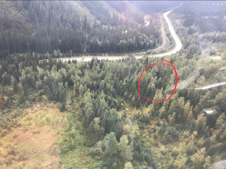 A photo of where a missing plane was found, with the area circled, on Monday near Revelstoke.