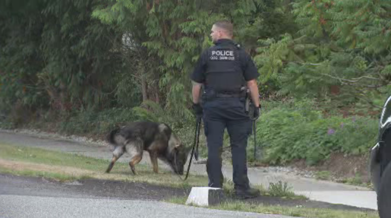 Police dog handlers search a South Surrey neighbourhood on Sept. 5, 2018.