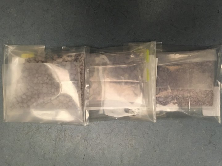 $98K worth of purple fentanyl seized in Edmonton drug bust - Edmonton ...