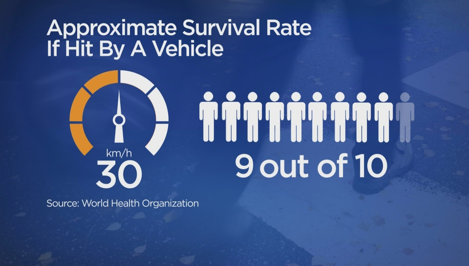 Calgary councillor wants to pump the brakes on lowering residential speed limits - image