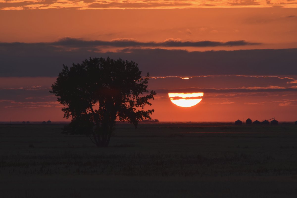 Sept. 28: This Your Saskatchewan photo was taken by Kathy Piche near Rouleau.