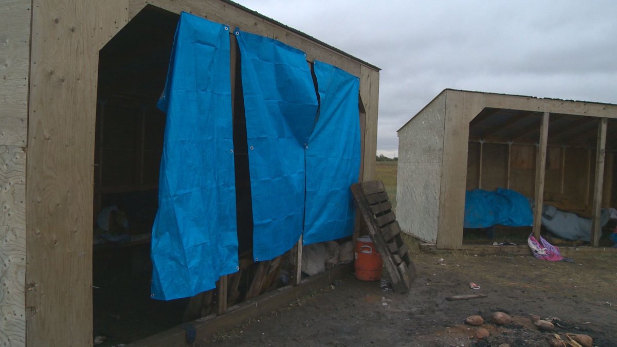 Temporary homeless shelters burn to ground in Wetaskiwin Edmonton
