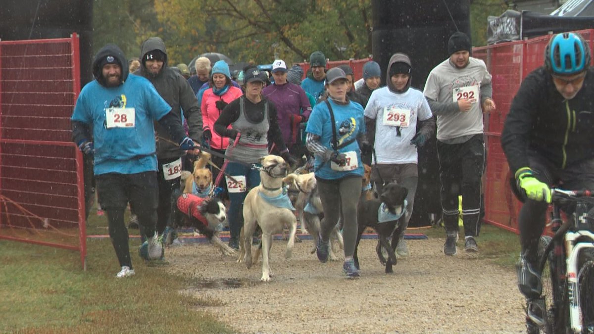 Over 300 people and 200 dogs took part in the fun run and walk.