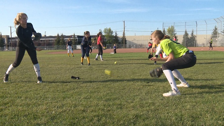 A Calgary softball organization is launching a fall academy to increase its player profile in the United States.