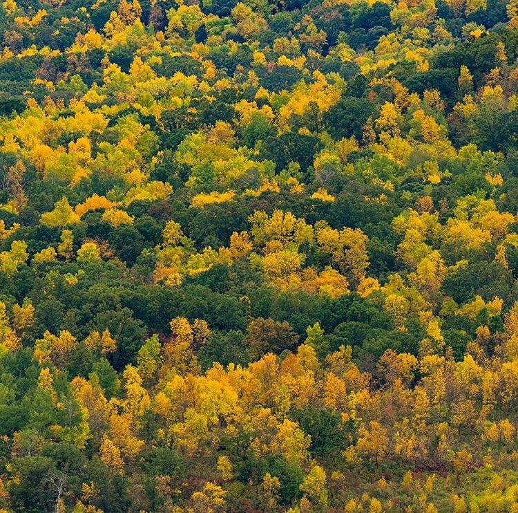 Pembina Valley Provincial Park, Manitoba.