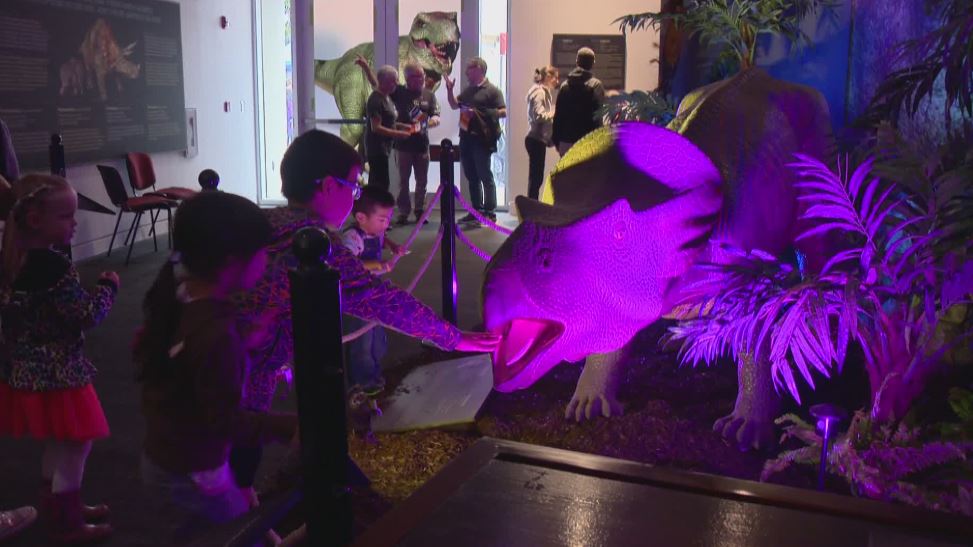 The Museum of Surrey reopened on Saturday with a pre-historic display that proved a big hit with the younger crowd. 