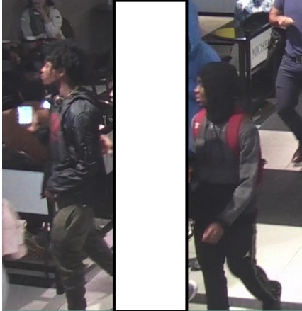 Ottawa police say they need the public's help in identifying two suspects who they believe robbed a young man downtown on Rideau Street in August.