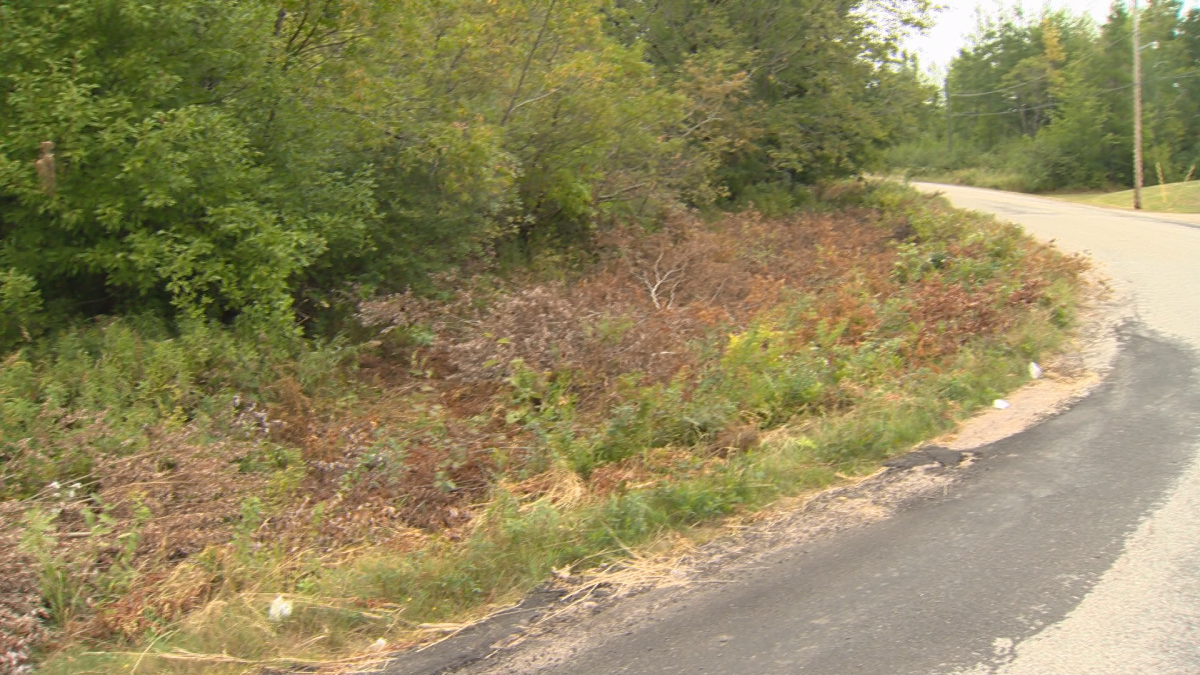 Taylor says residents have cut down some growth themselves near an intersection in the area.