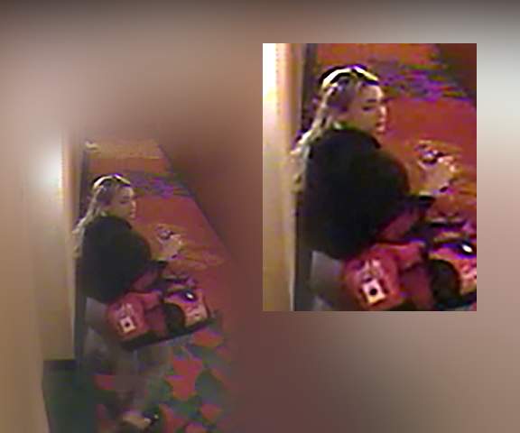 Ottawa police are asking for the public’s help in identifying another woman they would like to speak to about Saturday night’s homicide at the Residence Inn by Marriott.