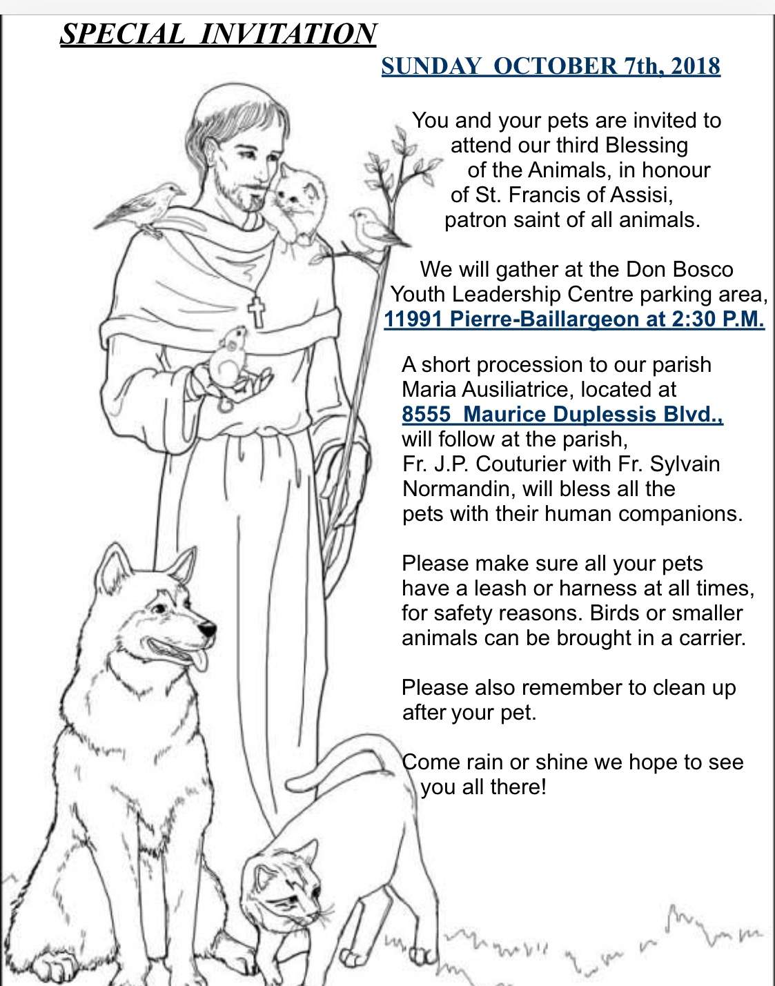 Blessing of the Animals - image