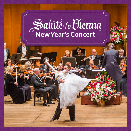 Salute to Vienna New Year’s Concert - image